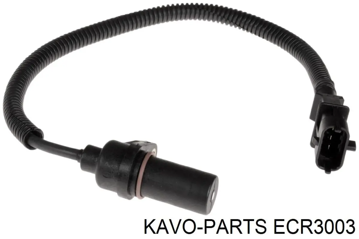 Датчик положения коленчатого вала Kavo Parts ECR3003 цена, от 24.86 USD