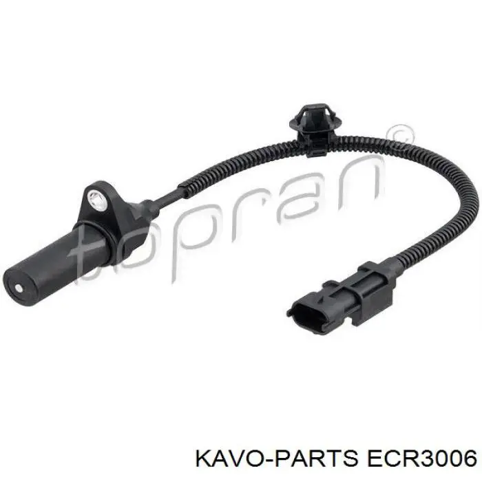 ECR-3006 Kavo Parts sensor de posição (de revoluções de cambota)