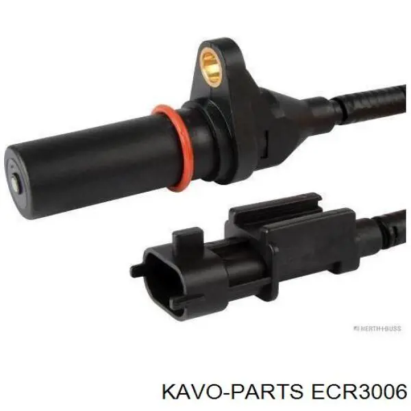 ECR3006 Kavo Parts