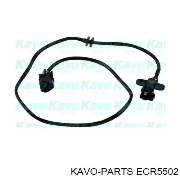 Датчик положения (оборотов) коленвала Kavo Parts ECR5502
