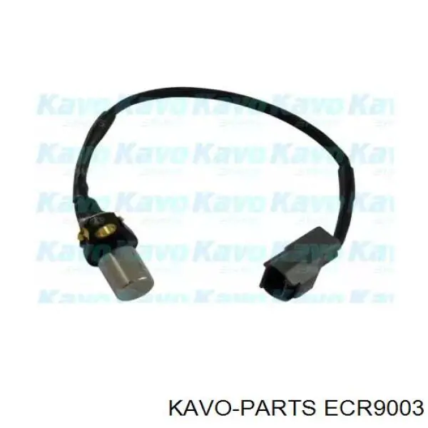 Датчик положения (оборотов) коленвала Kavo Parts ECR9003
