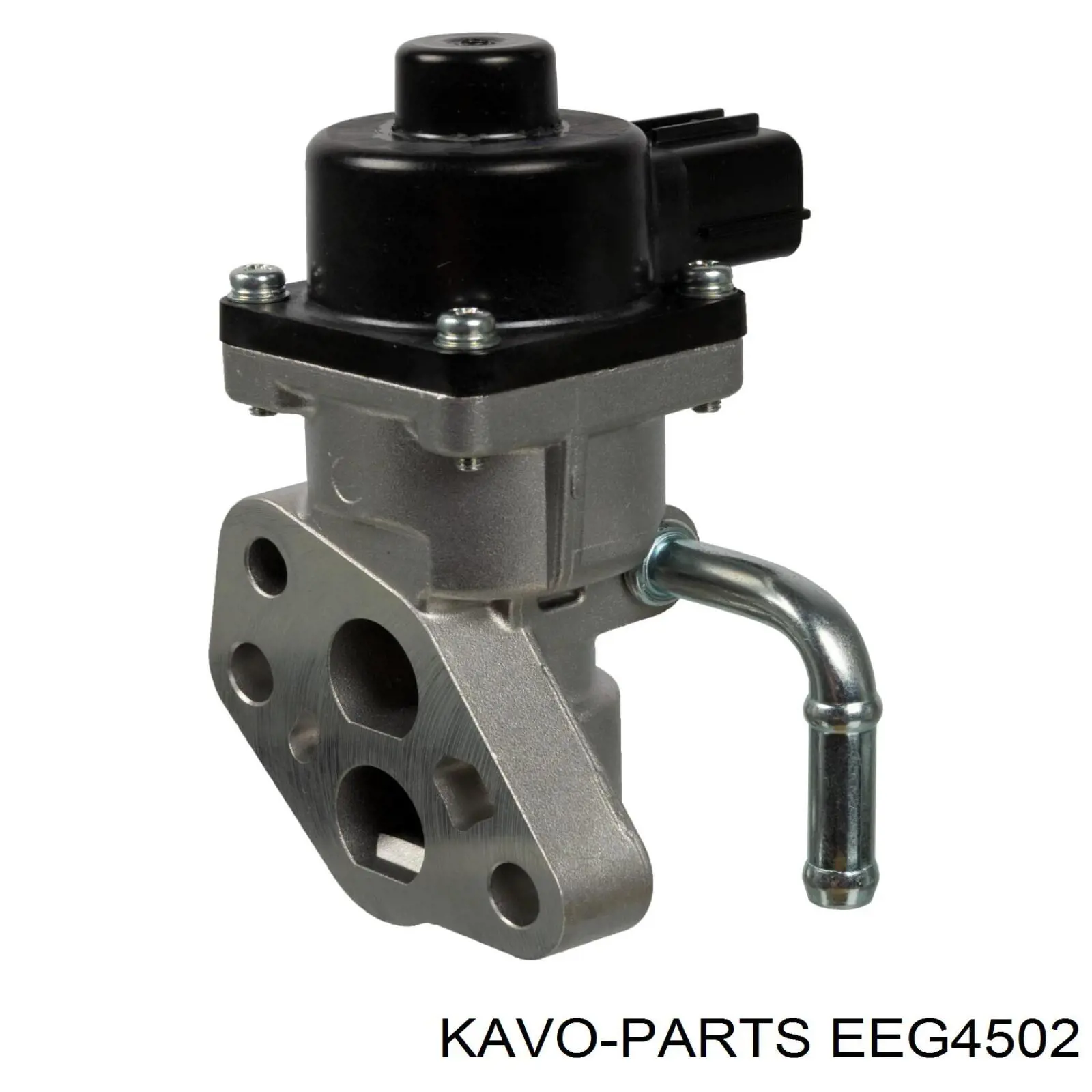 EEG4502 Kavo Parts