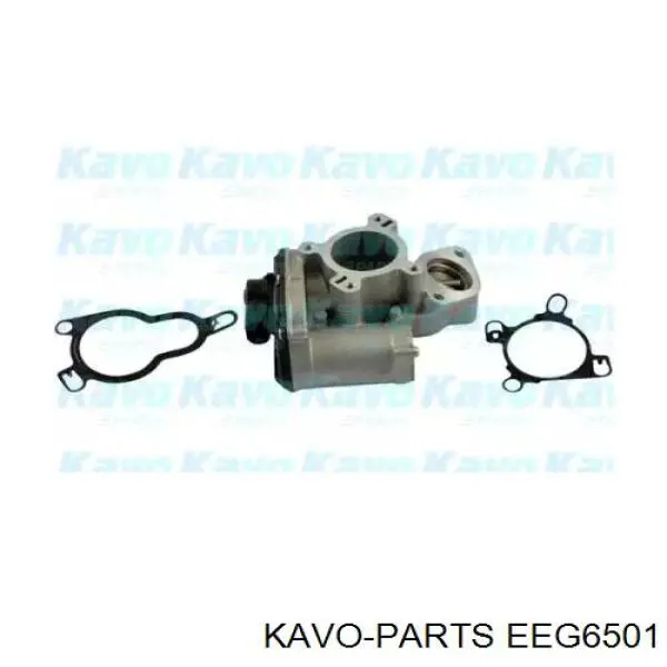 EEG6501 Kavo Parts