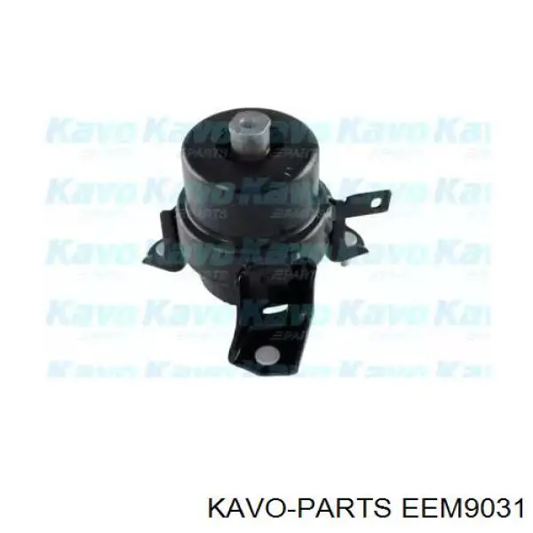 EEM-9031 Kavo Parts coxim (suporte dianteiro de motor)