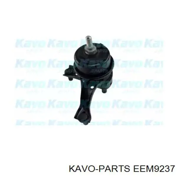 Подушка (опора) двигателя правая Kavo Parts EEM9237