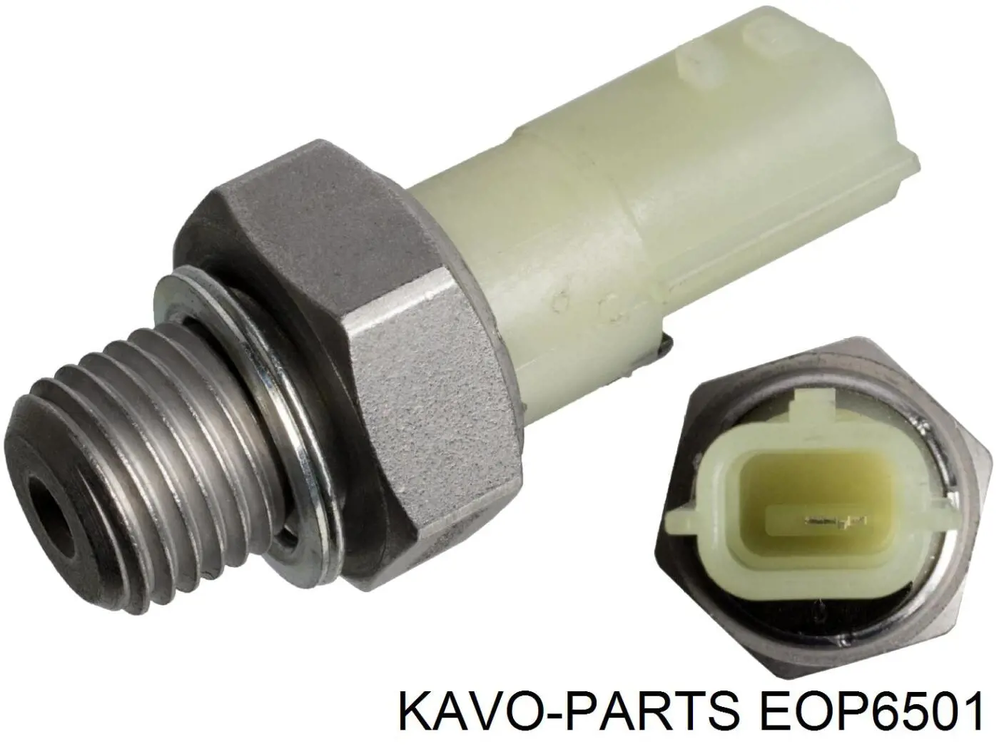 EOP6501 Kavo Parts