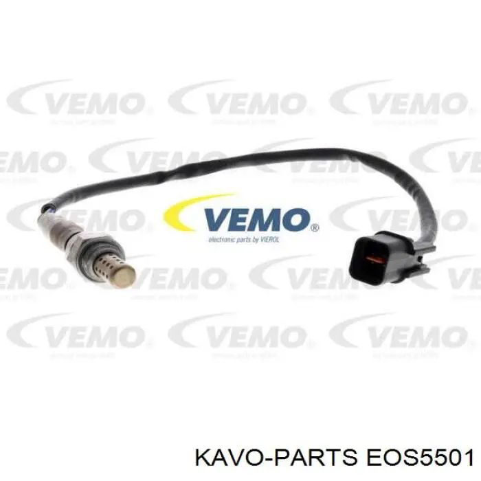 EOS5501 Kavo Parts