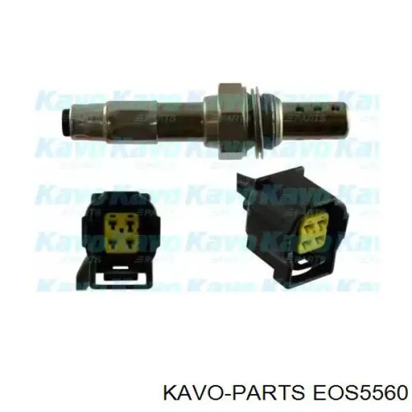 EOS-5560 Kavo Parts sonda lambda, sensor de oxigênio depois de catalisador