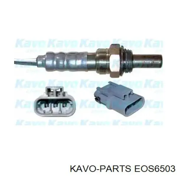 EOS6503 Kavo Parts