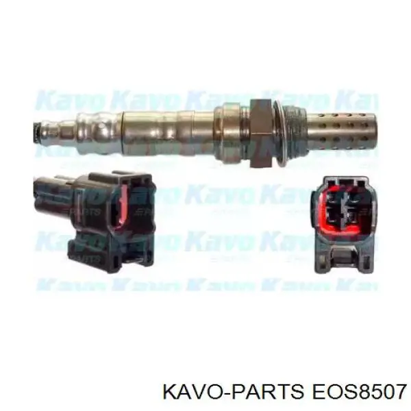 EOS8507 Kavo Parts