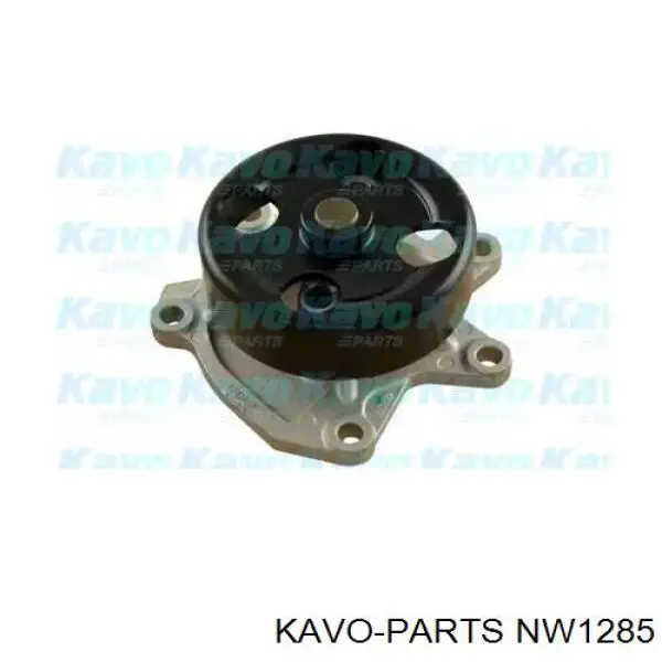 Помпа 210102706R Renault (RVI)