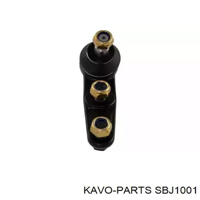 SBJ-1001 Kavo Parts шаровая опора нижняя