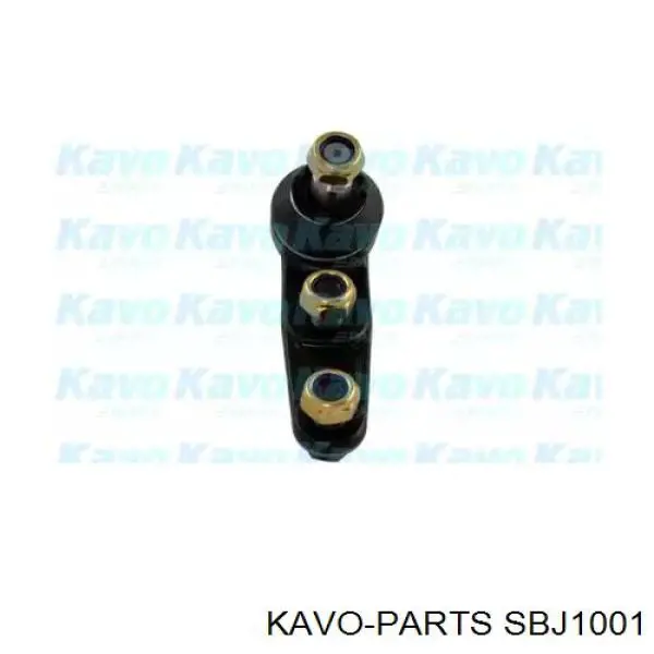 SBJ1001 Kavo Parts