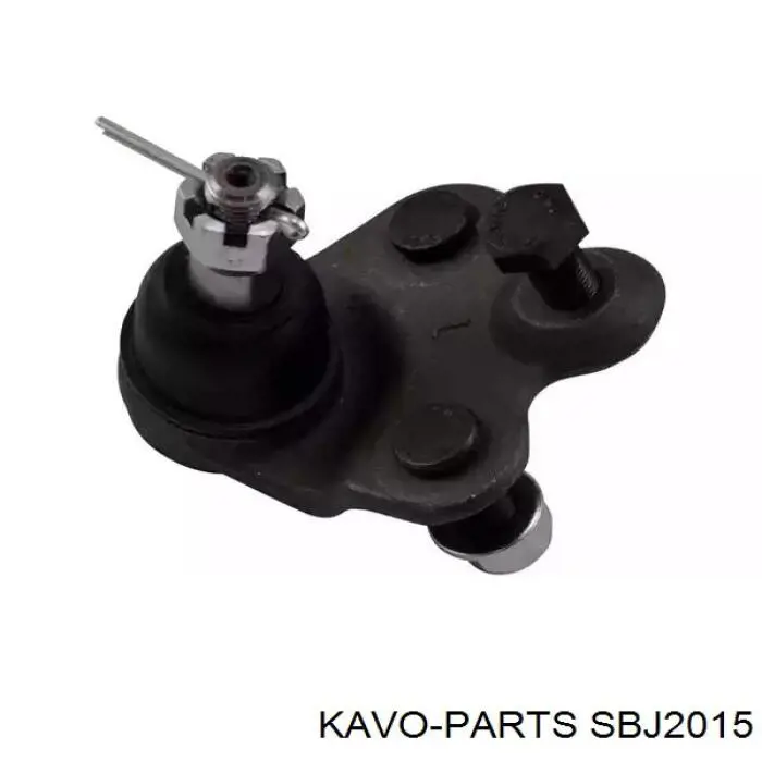 SBJ2015 Kavo Parts шаровая опора нижняя правая