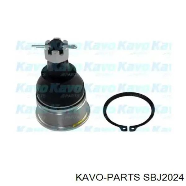 SBJ-2024 Kavo Parts suporte de esfera inferior