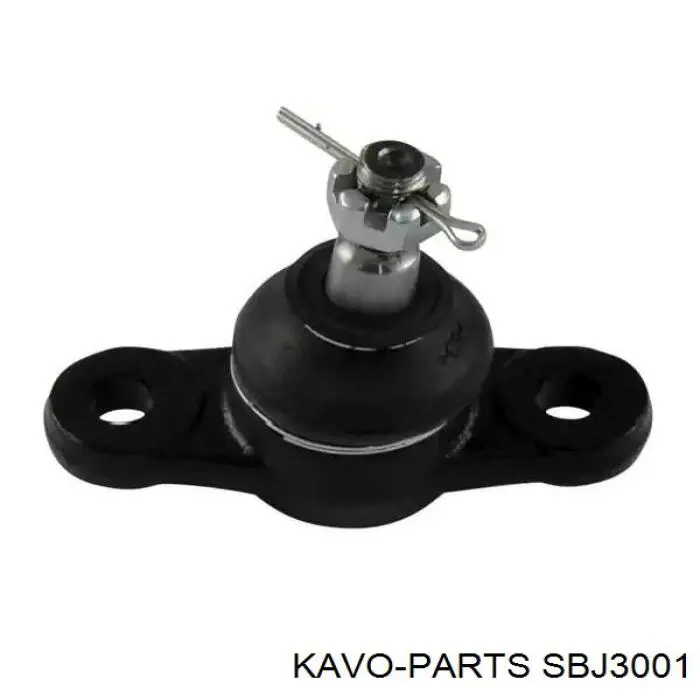 Шаровая опора нижняя Kavo Parts SBJ3001