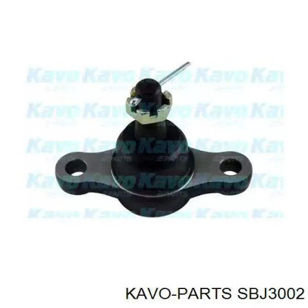 Шаровая опора нижняя Kavo Parts SBJ3002