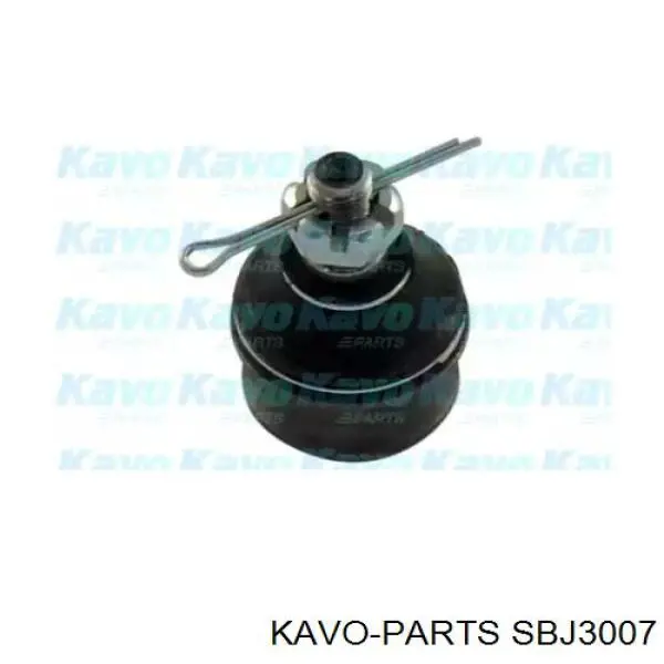 Нижняя шаровая опора SBJ3007 Kavo Parts