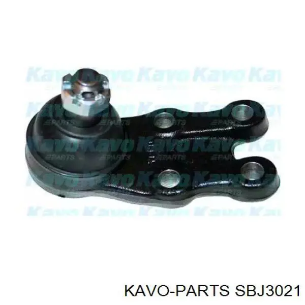 Шаровая опора нижняя Kavo Parts SBJ3021