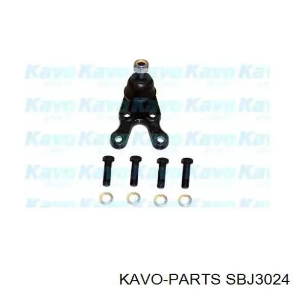 Нижняя шаровая опора SBJ3024 Kavo Parts