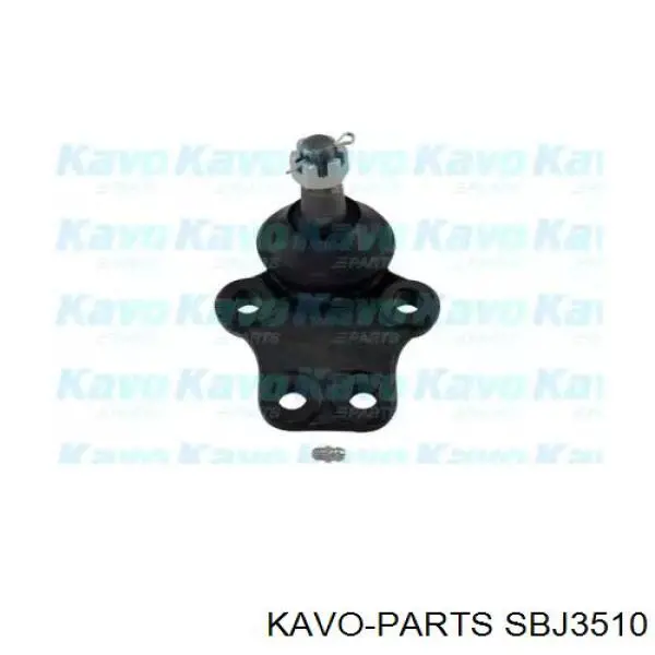 SBJ-3510 Kavo Parts шаровая опора нижняя