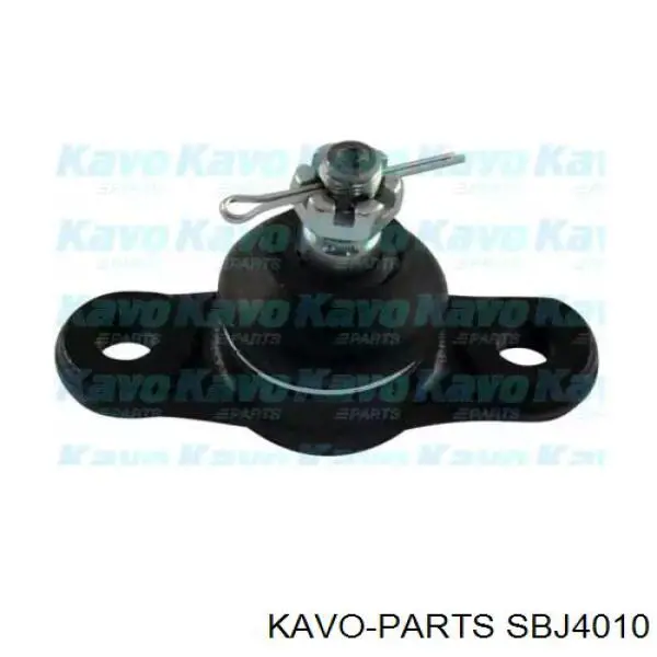 SBJ-4010 Kavo Parts шаровая опора нижняя