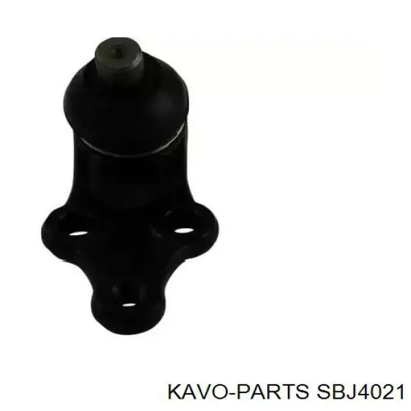 Шаровая опора нижняя Kavo Parts SBJ4021