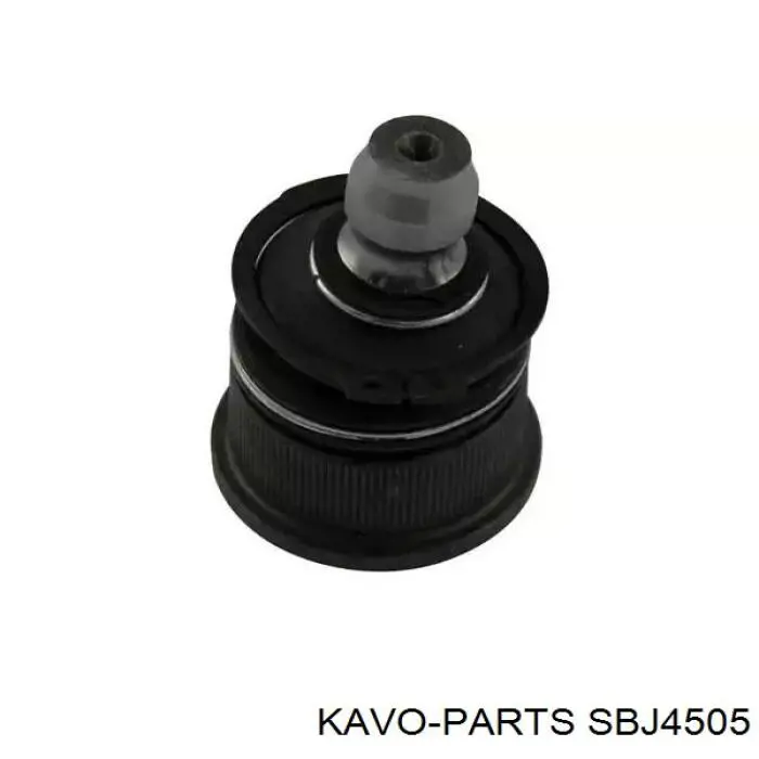 Шаровая опора нижняя Kavo Parts SBJ4505