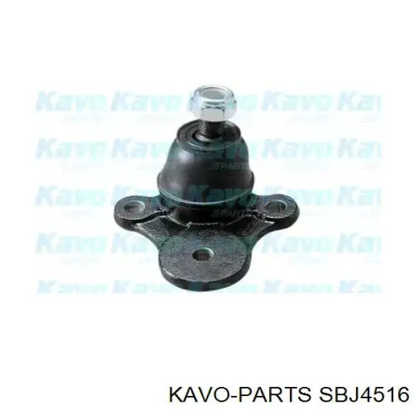 SBJ4516 Kavo Parts шаровая опора верхняя