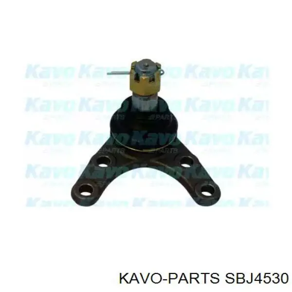 Шаровая опора нижняя Kavo Parts SBJ4530