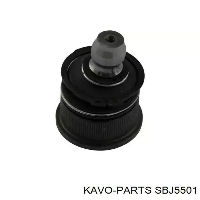 Шаровая опора, нижняя Kavo Parts SBJ5501 цена, от 8.47 USD