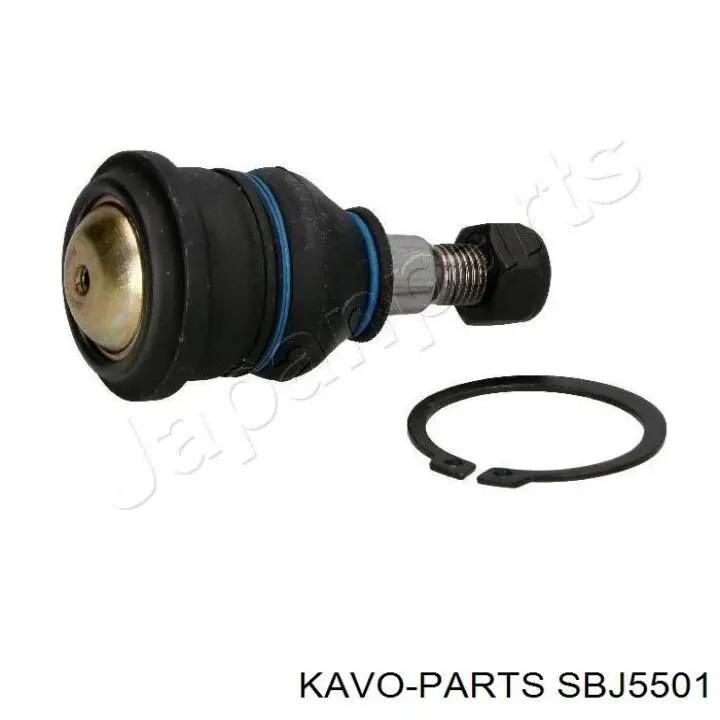 Купить SBJ5501 Kavo Parts Нижняя шаровая опора