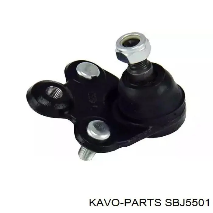 Нижняя шаровая опора SBJ5501 Kavo Parts