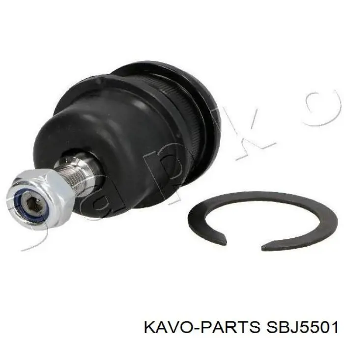 Нижняя шаровая опора Kavo Parts SBJ5501