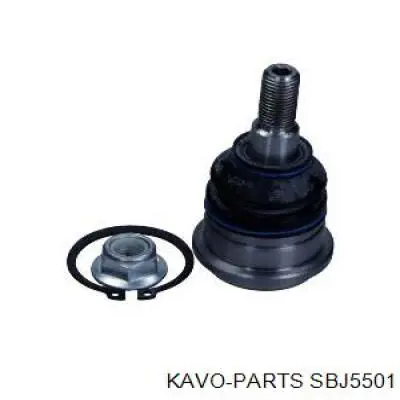 SBJ5501 Kavo Parts Палец шаровой нижний