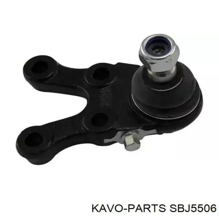 SBJ-5506 Kavo Parts шаровая опора нижняя правая