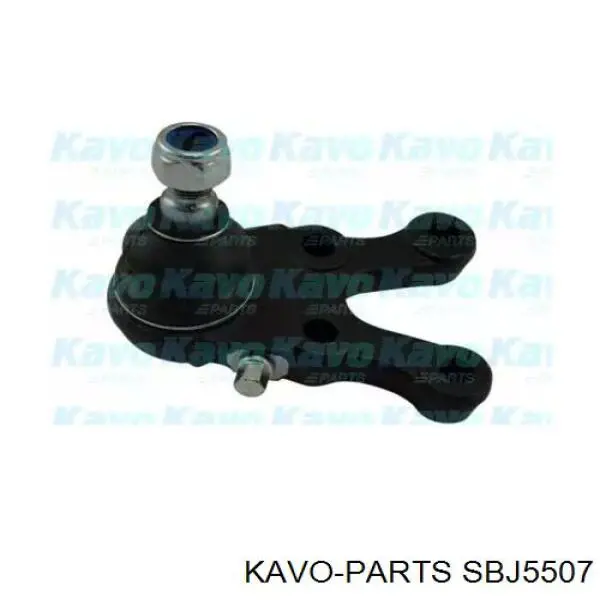 SBJ-5507 Kavo Parts шаровая опора нижняя левая