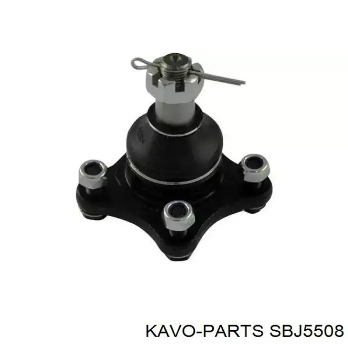 Шаровая опора верхняя Kavo Parts SBJ5508
