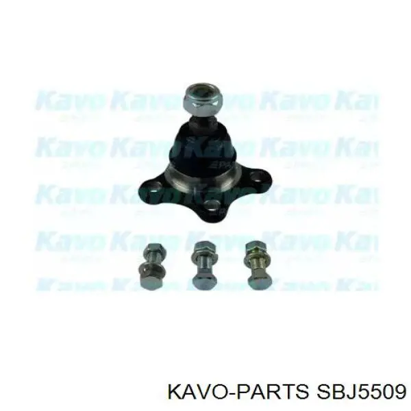 Шаровая опора нижняя левая Kavo Parts SBJ5509