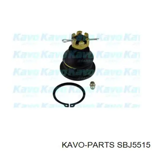 Шаровая опора верхняя Kavo Parts SBJ5515
