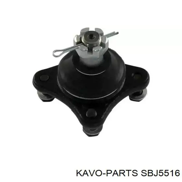 Шаровая опора верхняя Kavo Parts SBJ5516