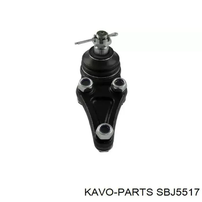 Шаровая опора нижняя Kavo Parts SBJ5517
