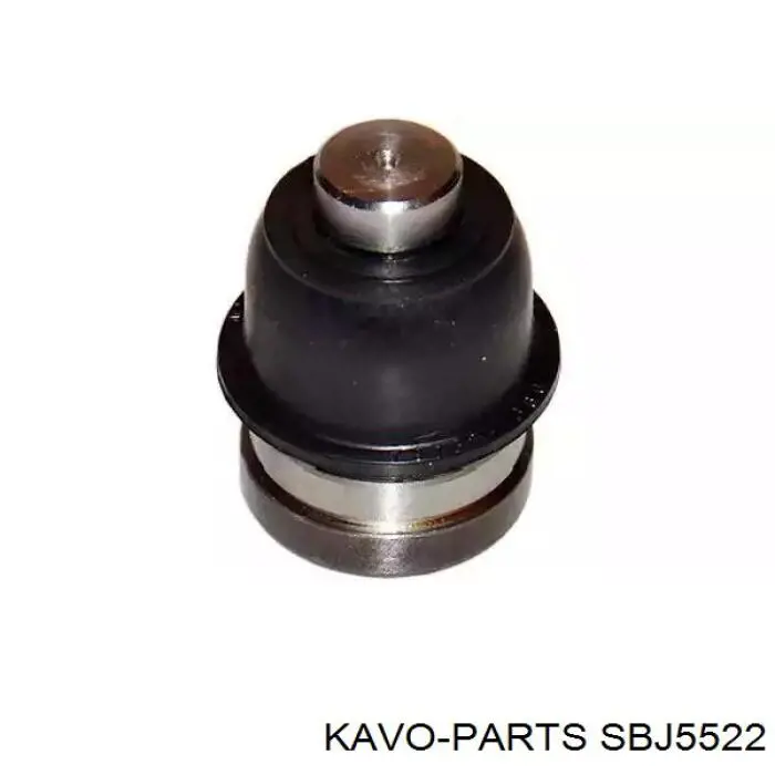 Шаровая опора нижняя Kavo Parts SBJ5522