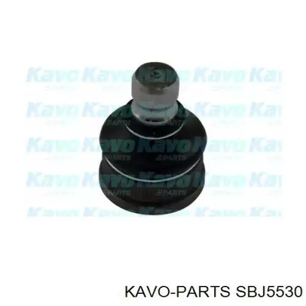 SBJ5530 Kavo Parts 