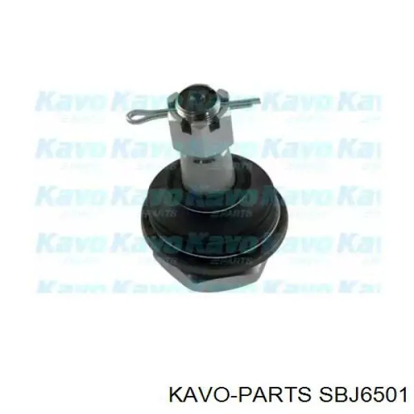 Шаровая опора нижняя Kavo Parts SBJ6501