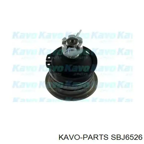 Шаровая опора верхняя Kavo Parts SBJ6526