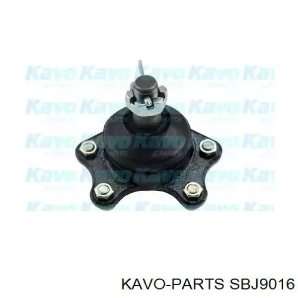 Шаровая опора верхняя Kavo Parts SBJ9016
