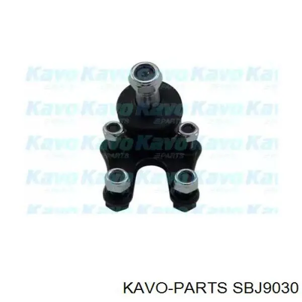 Нижняя шаровая опора SBJ9030 Kavo Parts