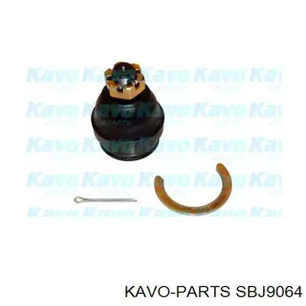 Нижняя шаровая опора SBJ9064 Kavo Parts