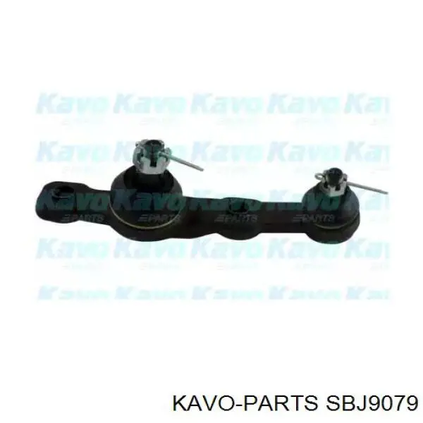 Нижняя левая шаровая опора SBJ9079 Kavo Parts